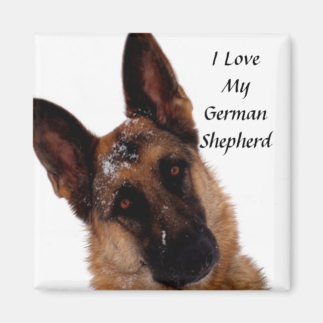 Íman German shepherd (Frente)