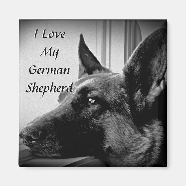 Íman German shepherd (Frente)