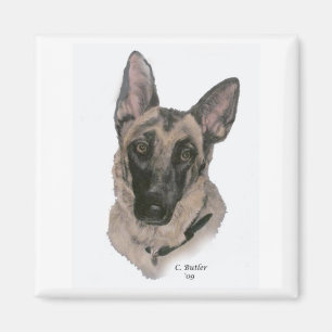 Íman German shepherd