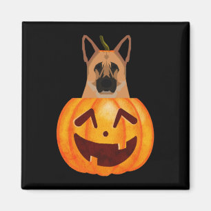 Íman German shepherd