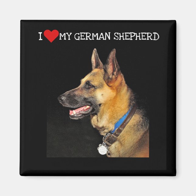 Íman German shepherd (Frente)