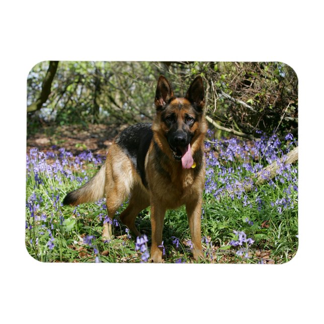 Íman German shepherd (Horizontal)