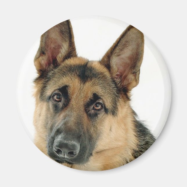 Íman German shepherd (Frente)