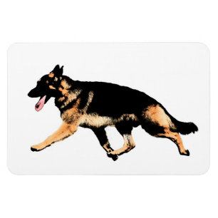 Íman German shepherd