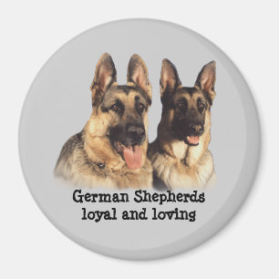 Íman German shepherd