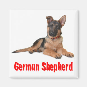 Íman German shepherd Adoro Imã de geladeira de cachorr