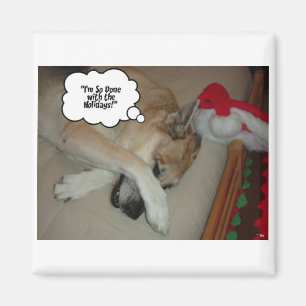 Íman German shepherd de Natal