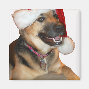 Íman German shepherd do Feliz Natal