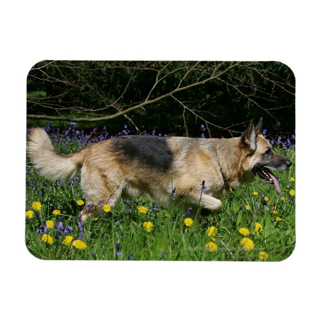 Íman German shepherd em Flores Amarelas (Horizontal)