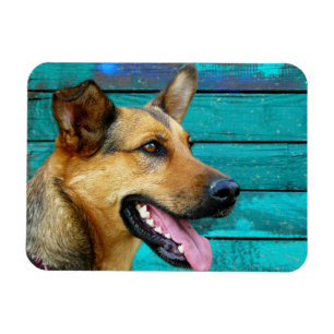 Íman German shepherd Feliz