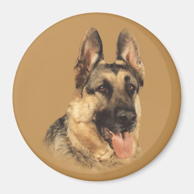 Íman German shepherd muito bonito (Frente)