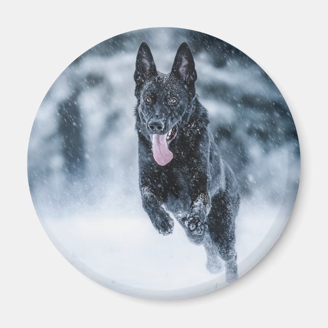Íman German shepherd preto no Cobrir da escova de neve (Frente)