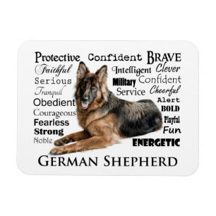 Íman German shepherd Traços