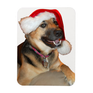 Íman German shepherd vestindo um chapéu de Papai Noel