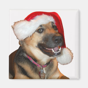 Íman German shepherd vestindo um chapéu de Papai Noel