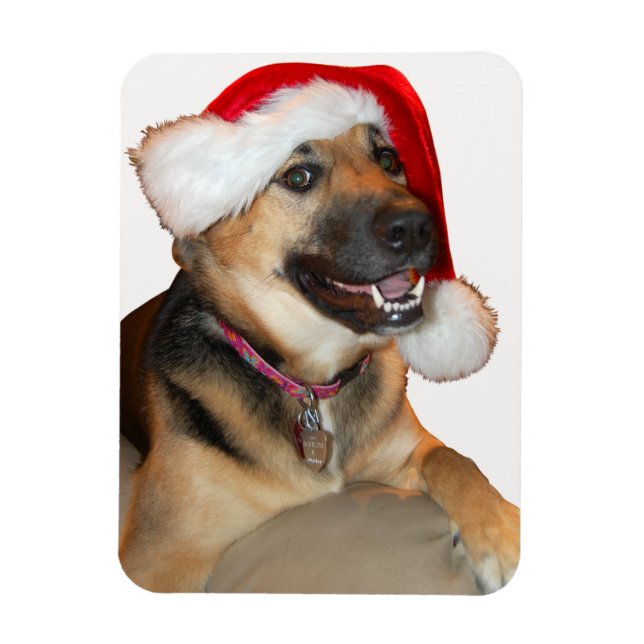 Íman German shepherd vestindo um Chapéu do Papai Noel (Vertical)