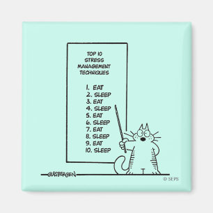 Íman Gestão de tempo