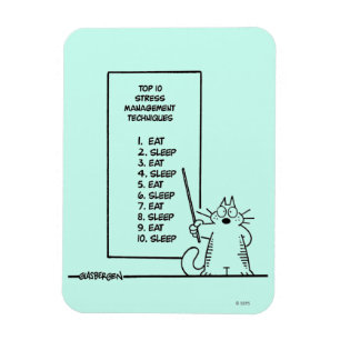 Íman Gestão de tempo