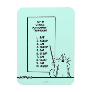 Íman Gestão de tempo