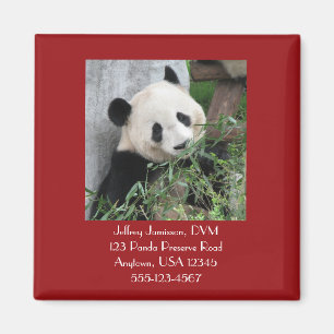 Íman Giant Pandas Magnet, Square, Veterinarian