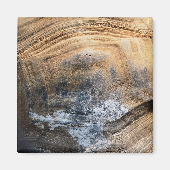 ÍMAN GIANT TORTOISE SHELL (Frente)