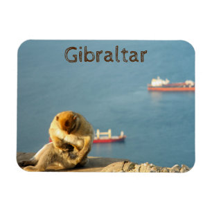 Íman Gibraltar Barbary