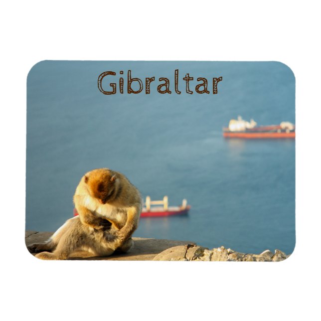 Íman Gibraltar Barbary (Horizontal)
