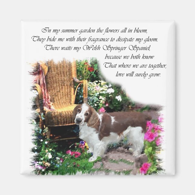 Íman Gifes de Arte do Welsh Springer Spaniel (Frente)