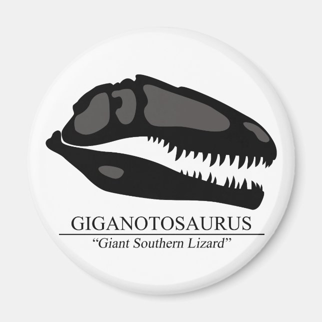 Íman Giganotossaurus Skull (Frente)