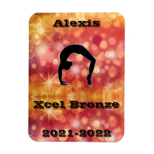 Íman ginástica do Xcel Bronze