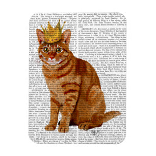 Íman Ginger Cat com Cheio