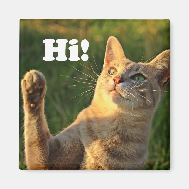 Íman Ginger Cat Dizendo Oi! (Frente)