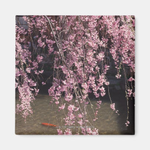 Íman Gion, Província de Kyoto, Japão