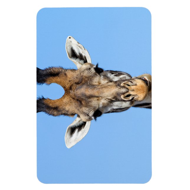 Íman Girafa (Vertical)