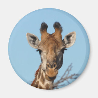 Íman Girafa