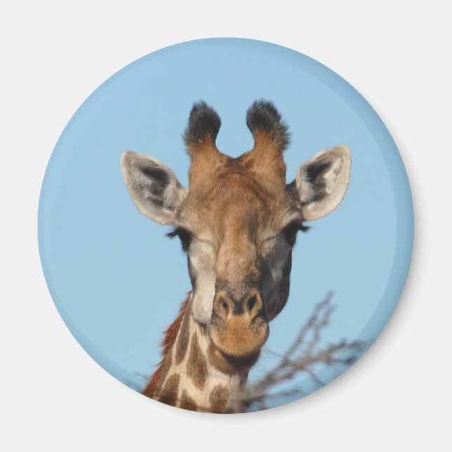 Íman Girafa (Frente)