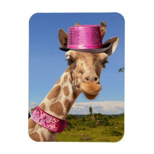 Íman Girafa com um chapéu cor-de-rosa brilhante