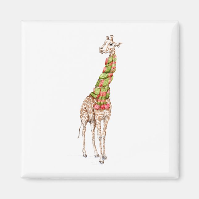 Íman Girafa em um Scarf (Frente)