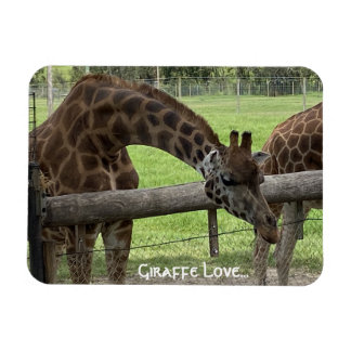 Íman Girafa Love...