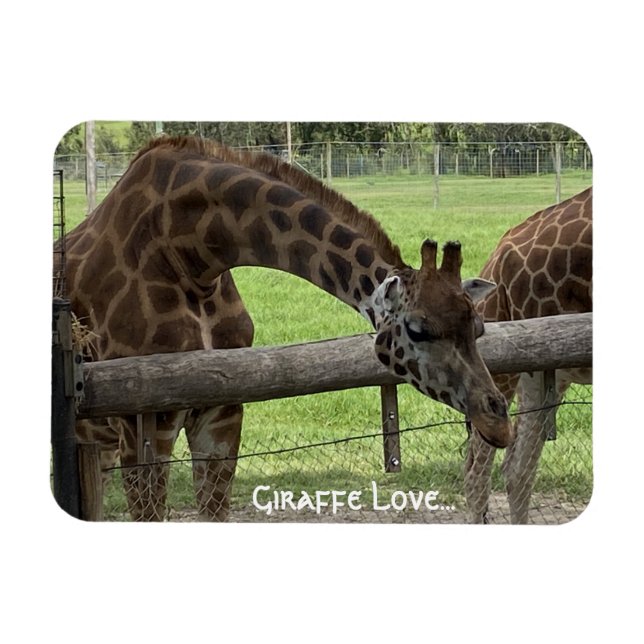Íman Girafa Love... (Horizontal)