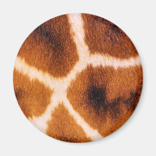 ÍMAN GIRAFAS