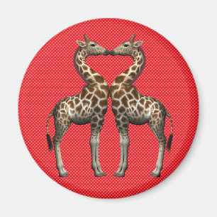 Íman Girafas Apaixonadas