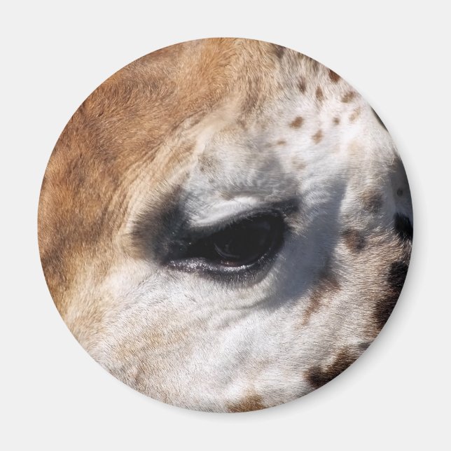 ÍMAN GIRAFFE (Frente)