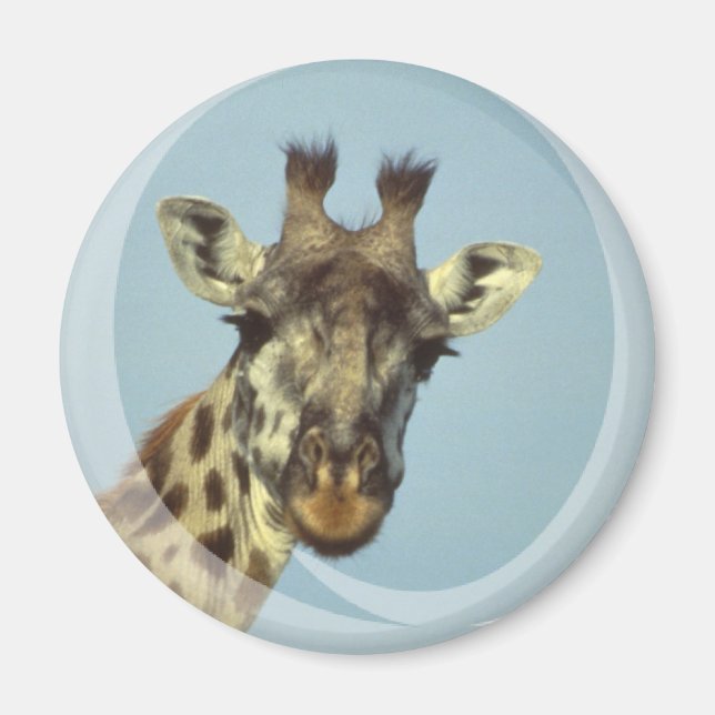 Íman Giraffe Design Magnet (Frente)