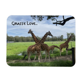 Íman Giraffe Love...Magnet