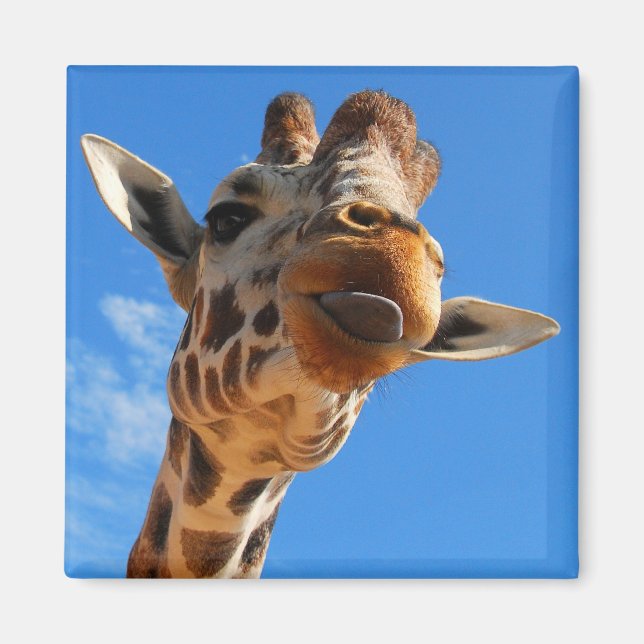 Íman Giraffe Magnet (Frente)