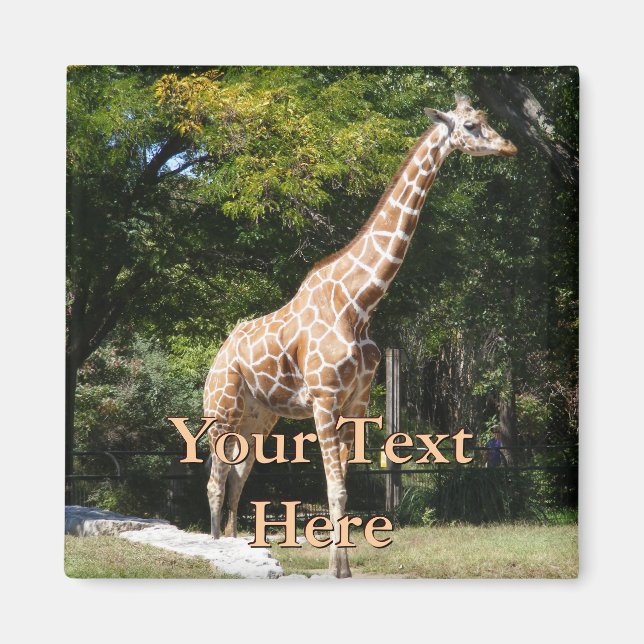 Íman Giraffe Magnet (Frente)