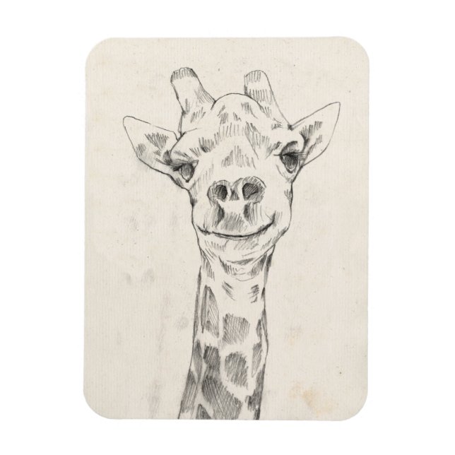 Íman Giraffe Portrait Sketch (Vertical)