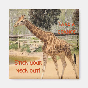 Íman giraffee