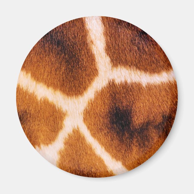 ÍMAN GIRAFFFES (Frente)